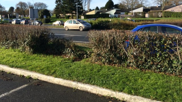 Manifestation des agriculteurs
