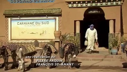 Funny Donkey Parking