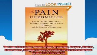 The Pain Chronicles Cures Myths Mysteries Prayers Diaries Brain Scans HealingScience of