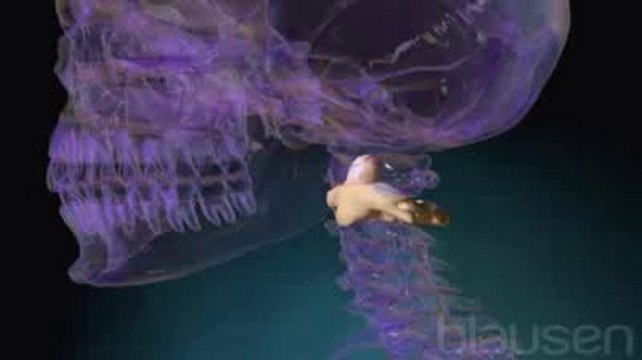 Ma C5,C6 et C7 abîmées et si douloureuses