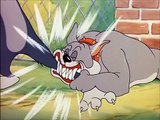 Tom and Jerry, 27 Episode - Cat Fishin  (1947)_3