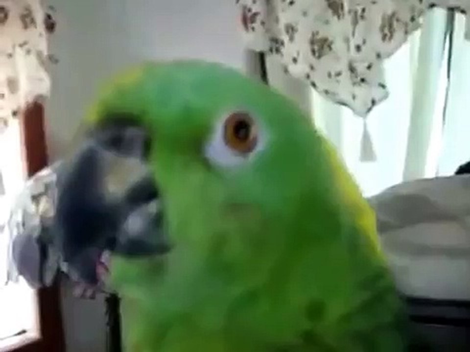 Amazon chante magnifiquement!