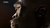 Рассвет Человечества (2015) National Geographic