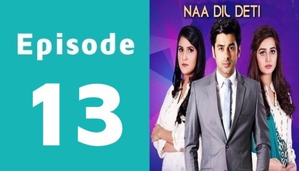 Naa Dil Deti Episode 13 Full on Hum Sitaray