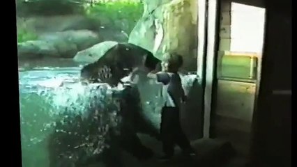 Веселая подборка детей в зоопарке!