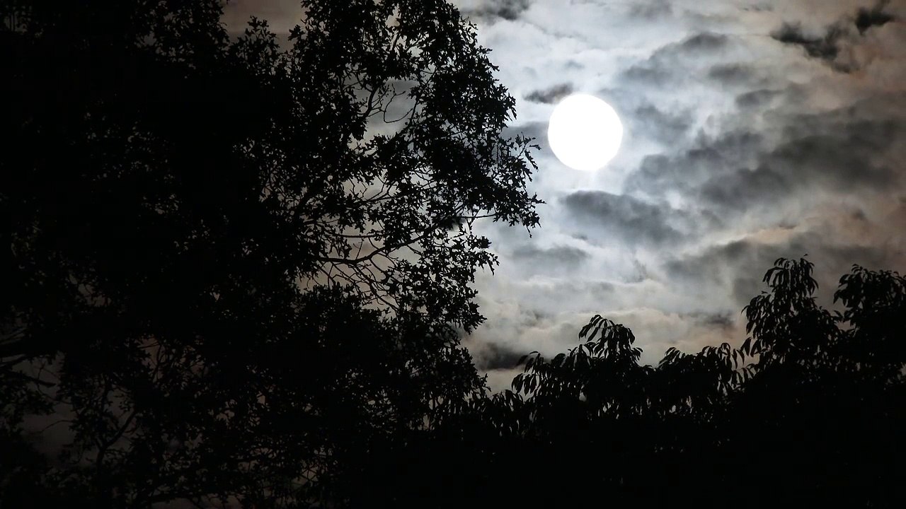 Super Blood Moon 4K  The Most Beautiful Eclipse You ll Ever See