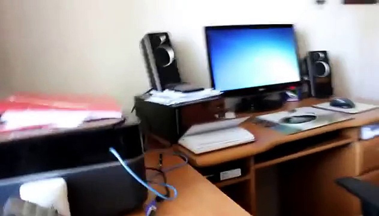 ベンガル猫は、機器を保護します
