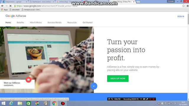 How to check websites earning and views on adsense account