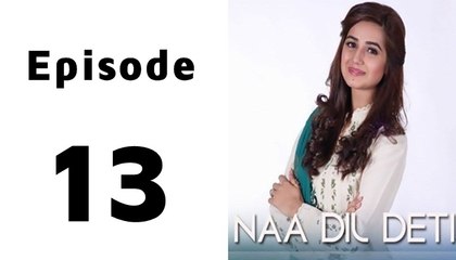 Naa Dil Deti Episode 13 Full on Hum Sitaray