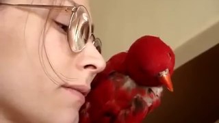 Девушка болтает с попугаем