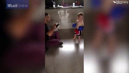 Two year old boxer Jacob Jack Davies