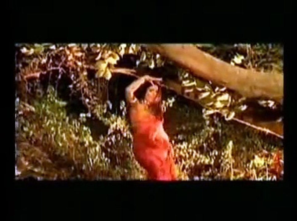 Tanveer Afridi-Dil teray Naam -