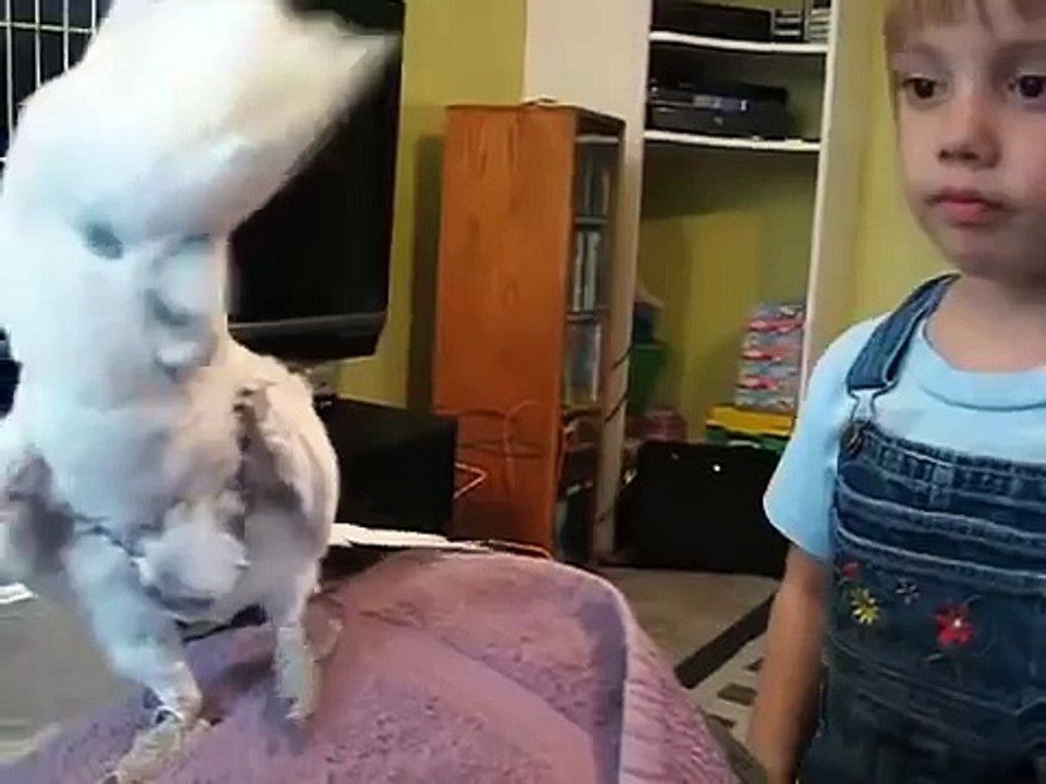 Amigos de menina com uma cacatua