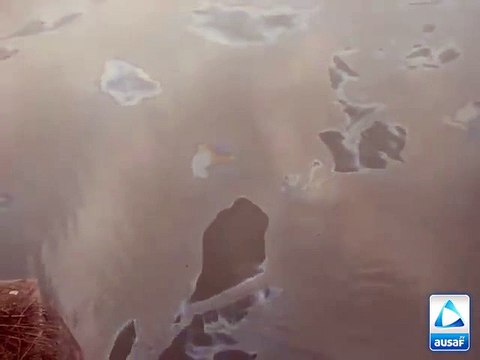 Nandi Pur Power Project Spreading Illness In Area???