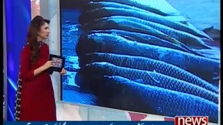 Report About Mirpur Fish - Must Watch