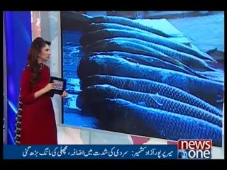Report About Mirpur Fish - Must Watch
