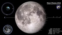 NASA | Moon Phases 2016, Northern Hemisphere - 4K