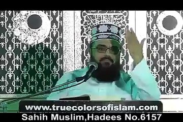 NABI APNI QABRON MAIN ZINDA HAIN