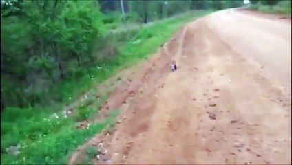 2 turkish soldier saved the life of a poor fox stuck in a bottle