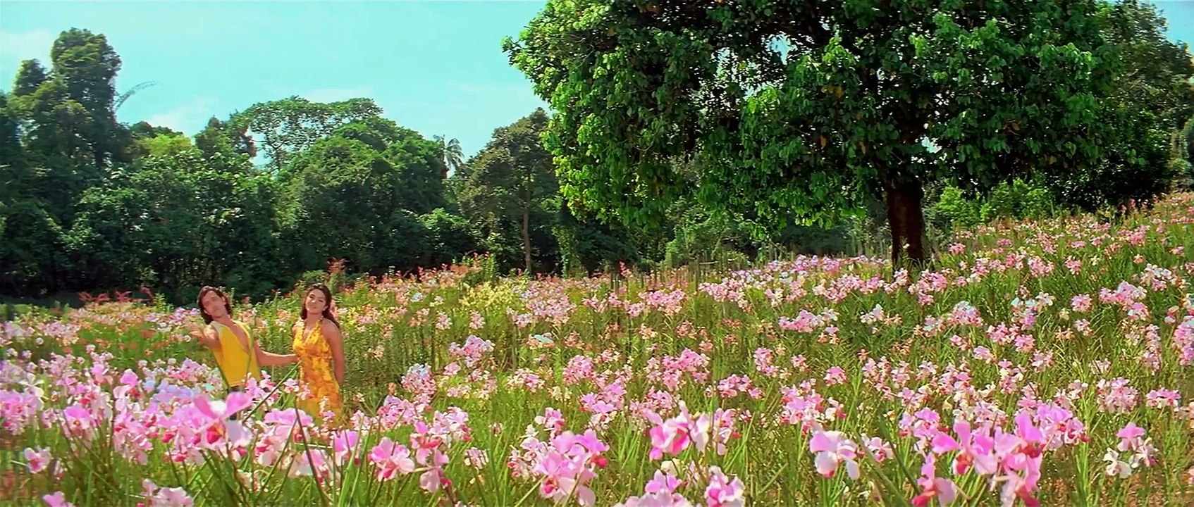 Koi Tumsa Nahi   - Krrish  -  Hrithik Roshan - Priyanka Chopra - 1080p HD