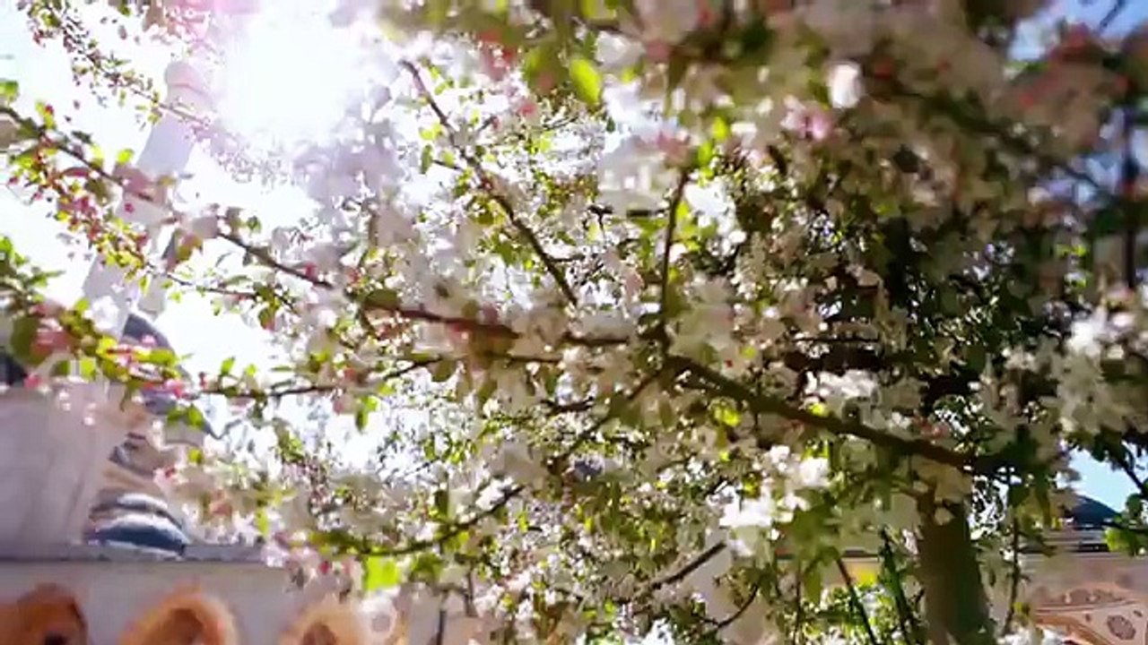 world best Islamic Song Mishari Rashid Al Afasy - Rahman