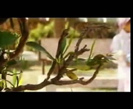 Nasheed islam Gaza Palestine