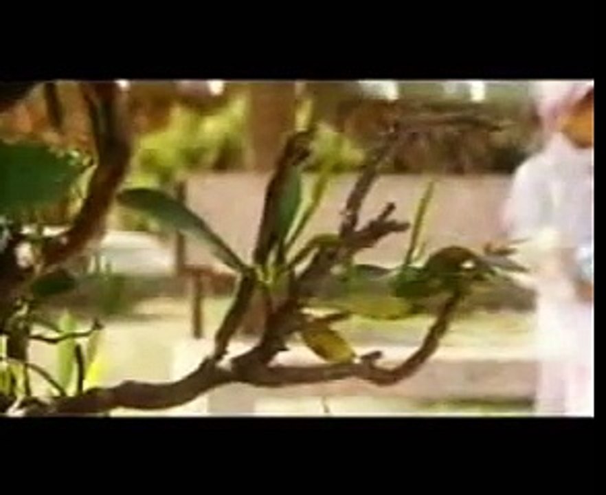 Nasheed islam Gaza Palestine