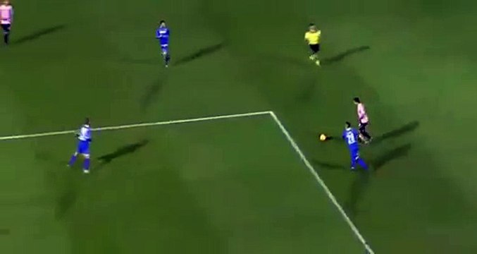 Aleksandar Trajkovski Goal - Palermo 3 - 1 Frosinone - 12/12/2015