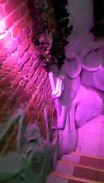 Александр Бон (shponks) on Periscope [2015-12-12 14-09] Куку. Мама где мы‼️