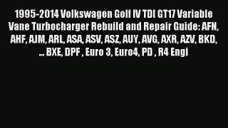 1995-2014 Volkswagen Golf IV TDI GT17 Variable Vane Turbocharger Rebuild and Repair Guide: