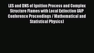 LES and DNS of Ignition Process and Complex Structure Flames with Local Extinction (AIP Conference
