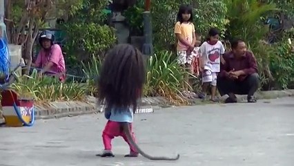 Funny Animals Videos | Funny Cat quotes | Funny Dogs Video | Funny Monkey Videos | Giraffe
