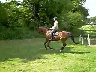 ORIFLAME GALOP