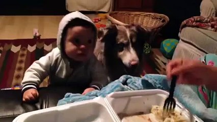 Baby is jealous because Dog says Mama | طفل يغار من كلب نطق كلمة ماما قبله ويقوم بضربه ههههه