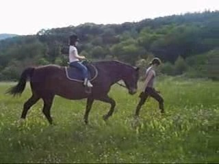 César mon petit... chien !