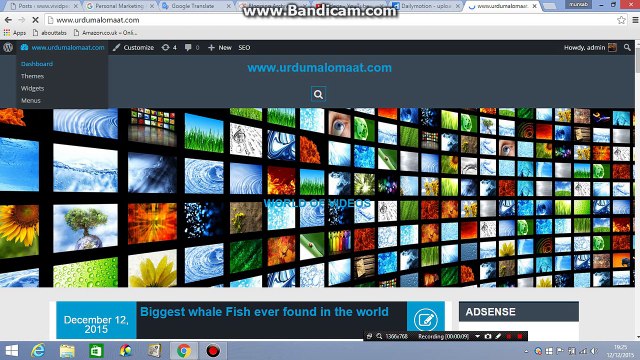 How to add Social Media Links in to wordpress website or blog
