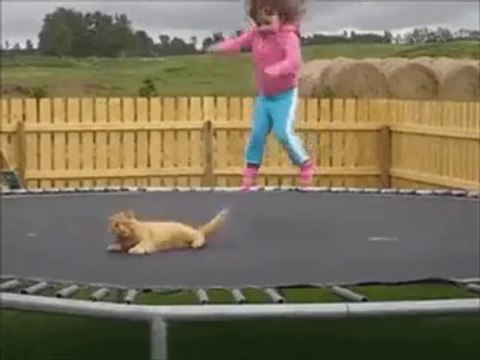 Best Funny Video Clips # 2 Funny Fails Funny Animals Funny Pranks & Jokes Stupid People