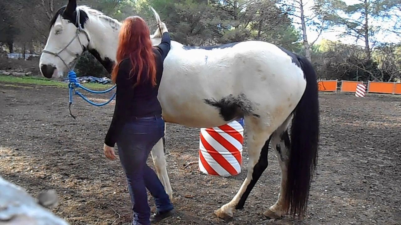Challenge 5 - Fanny et Until.