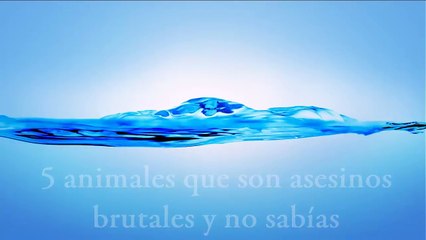 5 animales que son asesinos brutales y no sabías