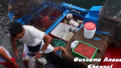 Plays With A Very Strange Friend