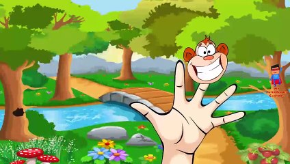 Finger Family Rhymes | Animals Cartoons for Children | Animal Children Nursery Rhymes Coll