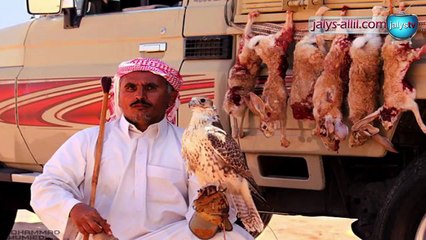 نشيد هب البراد وهيض القلـب | HD | حامد الضبعان | الدسكربشن مهم