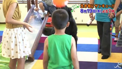 歯医者に犬!? すごい能力連発の特殊能力犬が続々! 8/19（水）『生き
