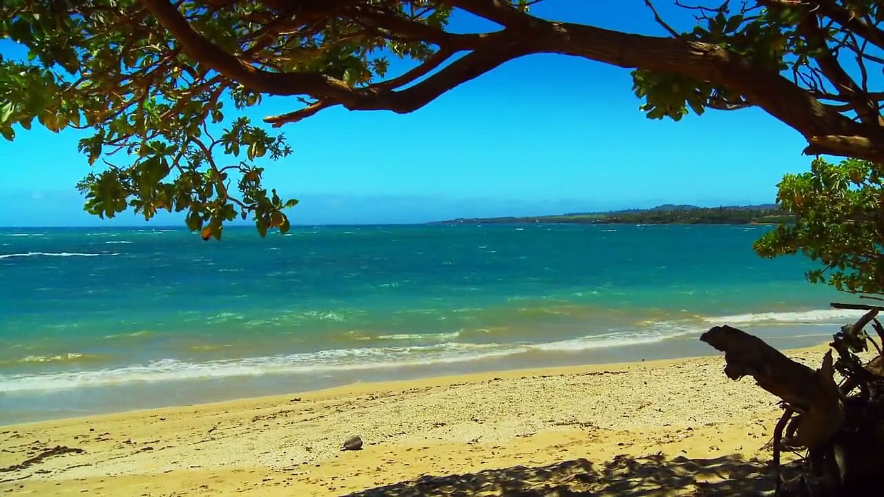 RELAXATION VIDEO #3 HD MAUI Best Beaches most relaxing Wave sounds Ocean videos relax trav