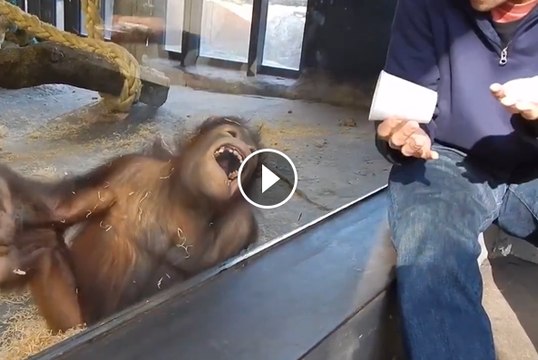 When The Magic Trick Is Just Too Damn Good