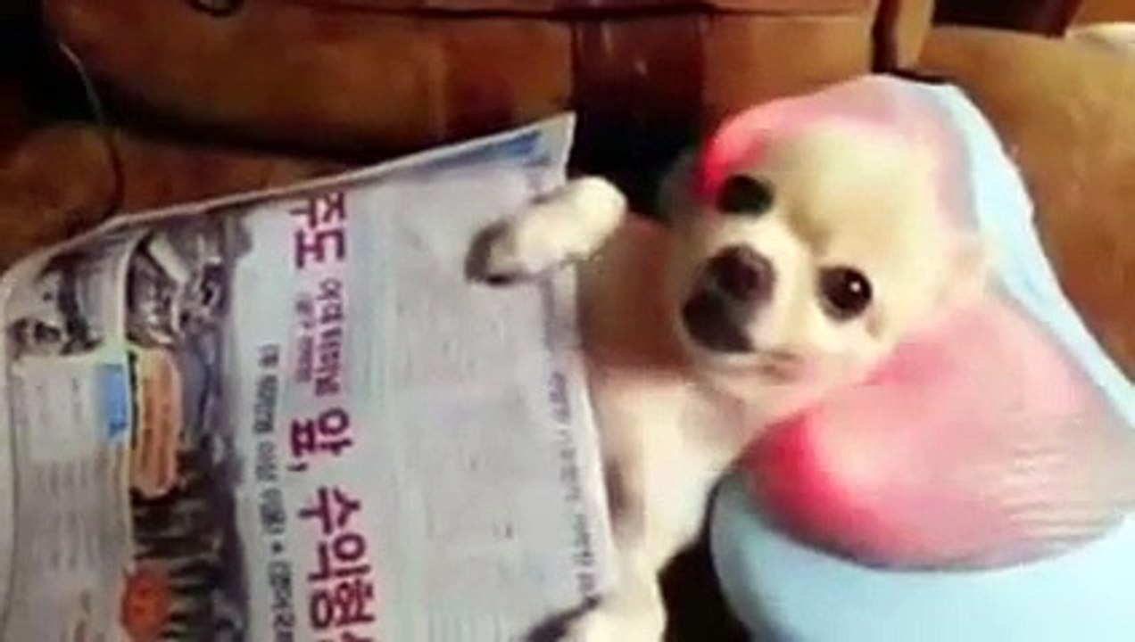 Funny Jokes Videos Best Prank and Gags of Web 14 - YouTube 2016