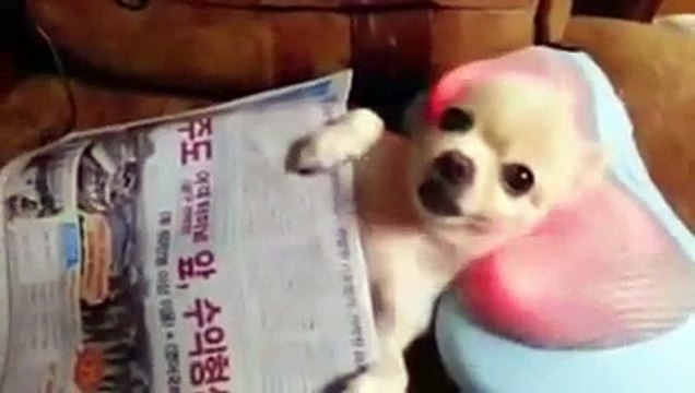 Funny Jokes Videos Best Prank and Gags of Web 14 - YouTube 2016