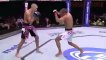 Best Knockouts ever MMA and UFC 2016