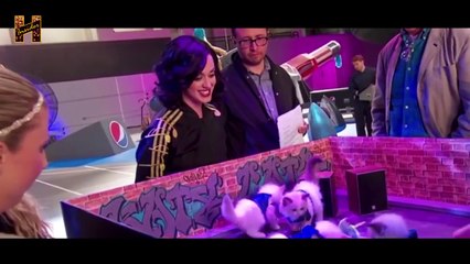 Katy Perry GROPED By Fan On Ecstasy