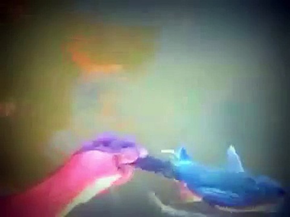 Hiç Bir Canlı Sevgiye Sessiz Kalmaz